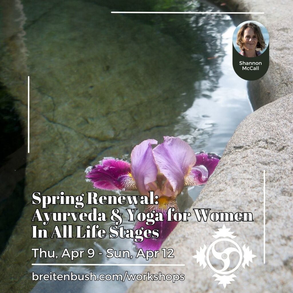 The programs featured image